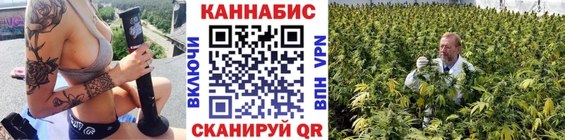 как найти   Новоржев  Бошки Шишки планчик 